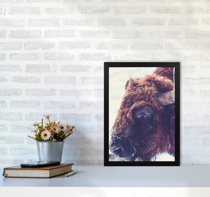 Bull Modern Print Animal Art Print A3 White Frame