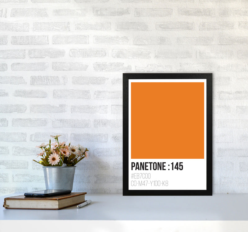 Panetone Colours 145 Modern Print A3 White Frame