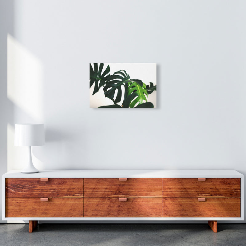 Monstera Leaf Landscape Modern Print, Framed Botanical & Nature Art Print A3 Canvas