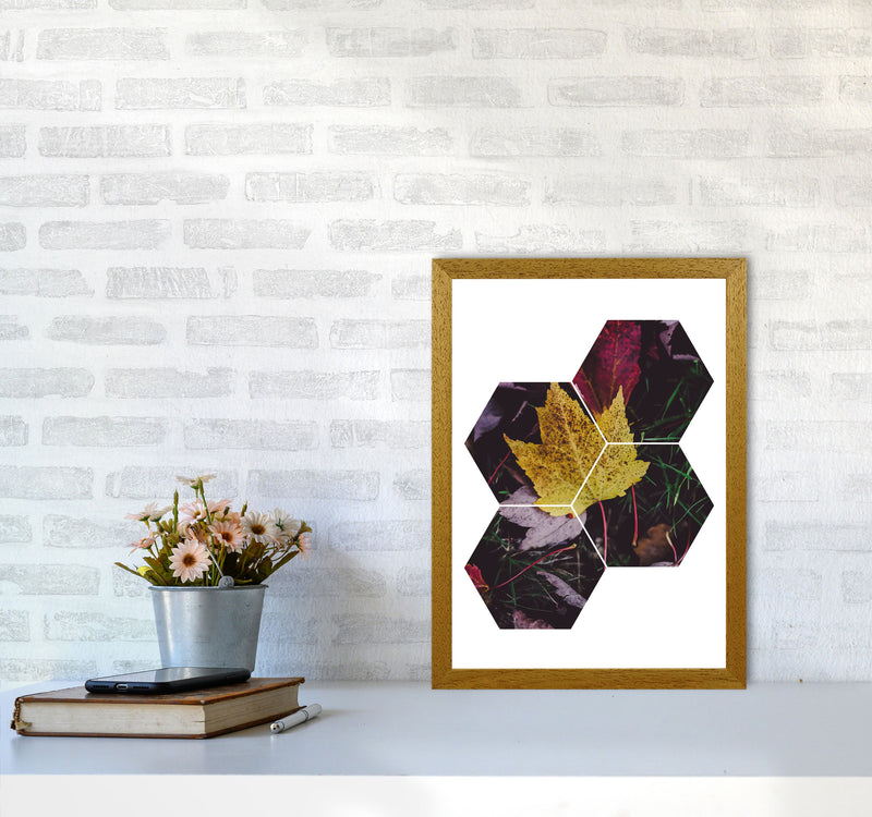 Leaf And Grass Abstract Hexagons Modern Print A3 Print Only