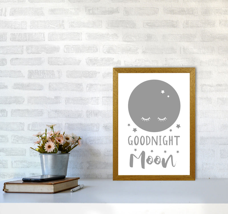 Goodnight Moon Grey Framed Nursey Wall Art Print A3 Print Only