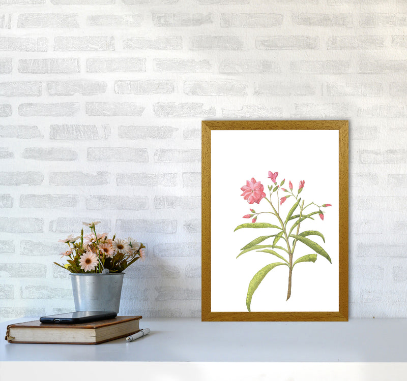 Pink Flower Modern Print, Framed Botanical & Nature Art Print A3 Print Only