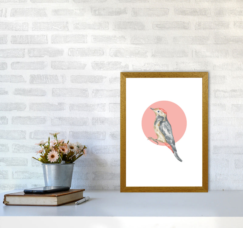 Watercolour Bird With Red Circle Modern Print Animal Art Print A3 Print Only