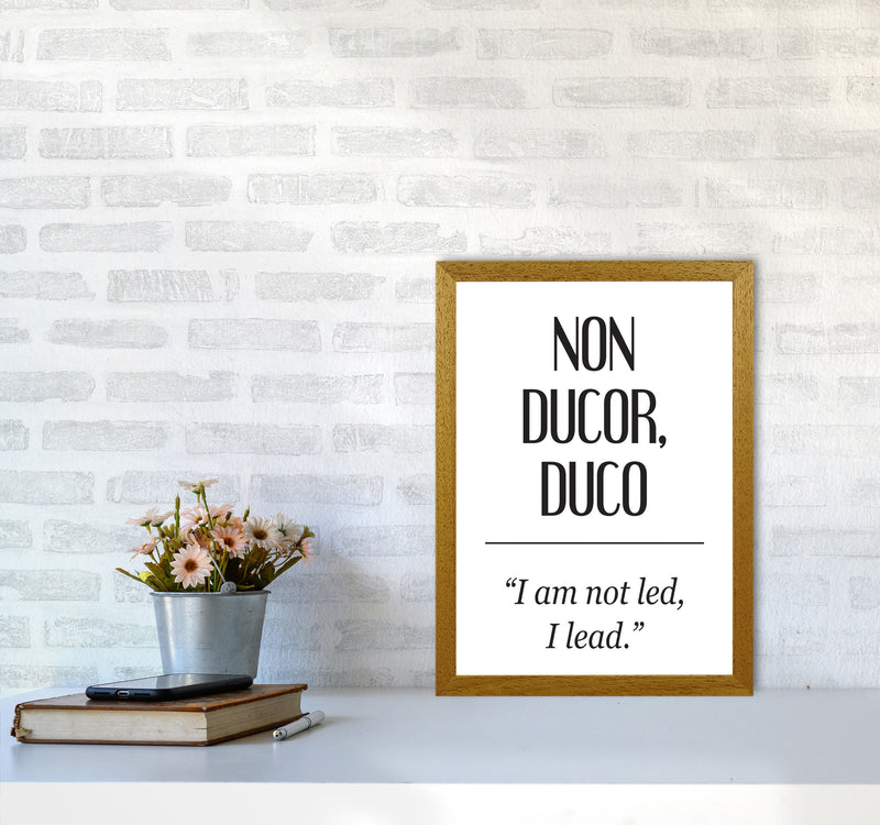 Non Ducor, Duco Framed Typography Wall Art Print A3 Print Only