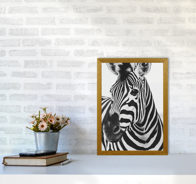Black And White Zebra Modern Print Animal Art Print A3 Print Only