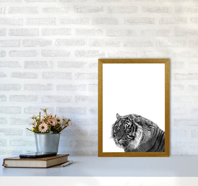 Black And White Tiger Modern Print Animal Art Print A3 Print Only