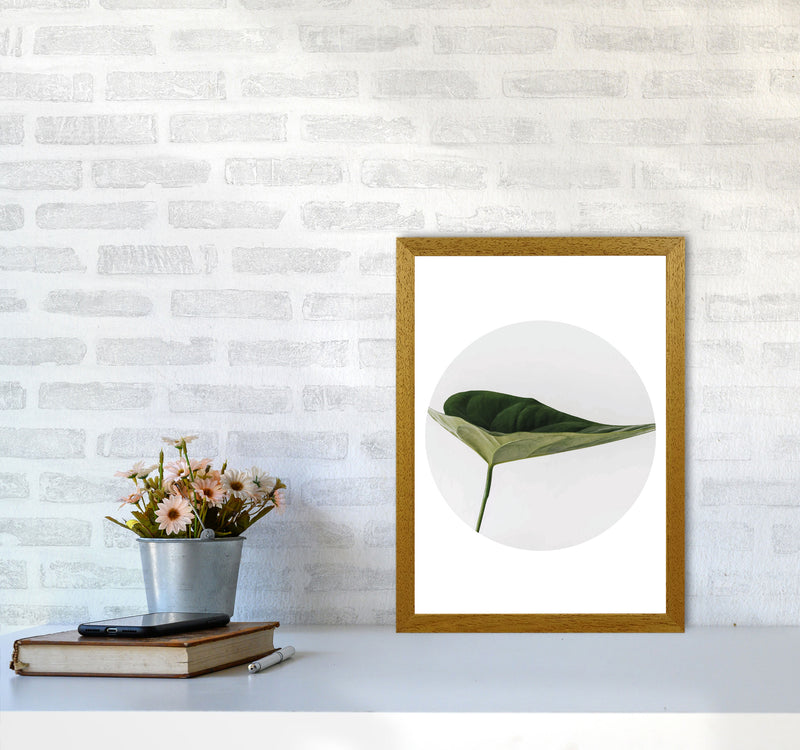 Doc Leaf Modern Print, Framed Botanical & Nature Art Print A3 Print Only