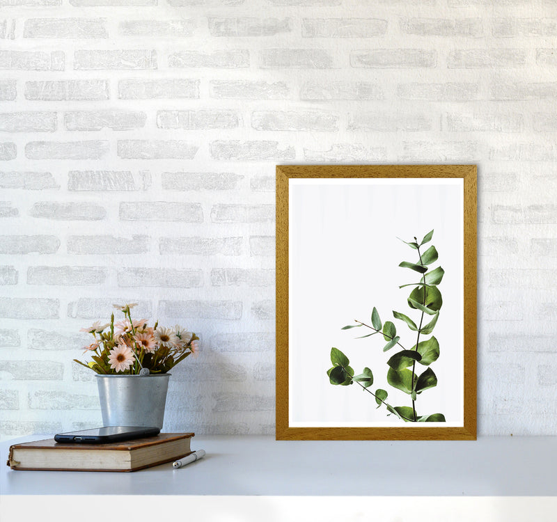 Elegant Green Plant Modern Print, Framed Botanical & Nature Art Print A3 Print Only