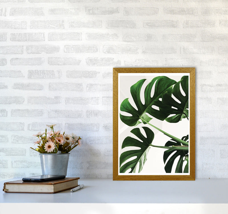 Monstera Leaf Modern Print, Framed Botanical & Nature Art Print A3 Print Only