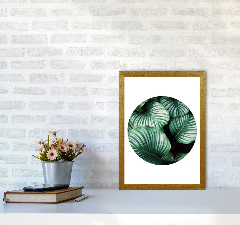 Green Leaves Circle Modern Print, Framed Botanical & Nature Art Print A3 Print Only