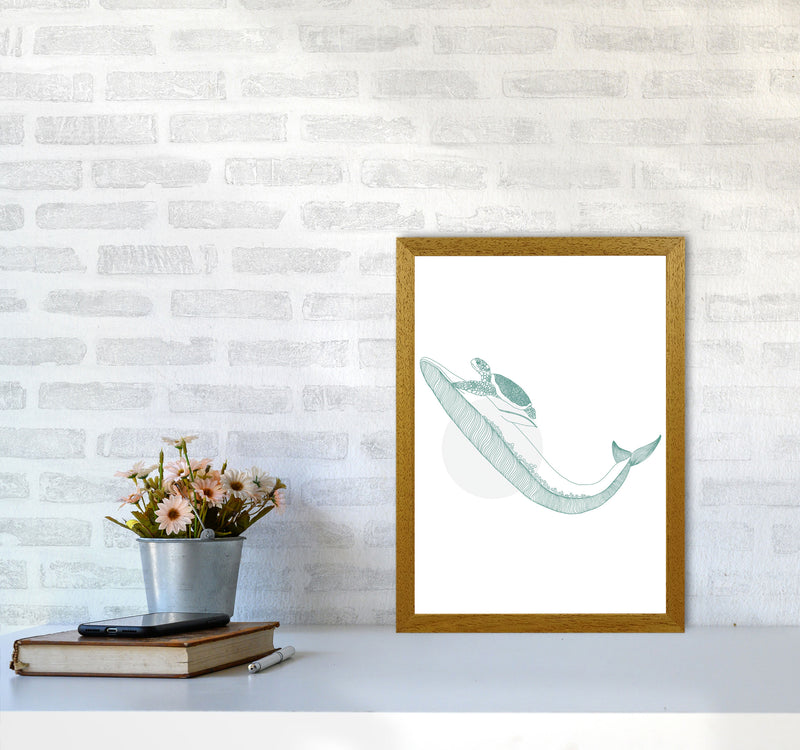 Marine Animals Whale And Turtle Modern Print Animal Art Print A3 Print Only