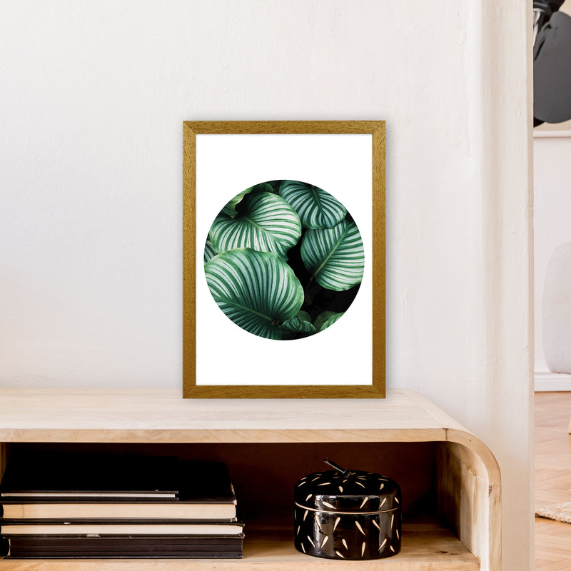 Green Leaf Circle Window  Art Print by Pixy Paper A3 Print Only