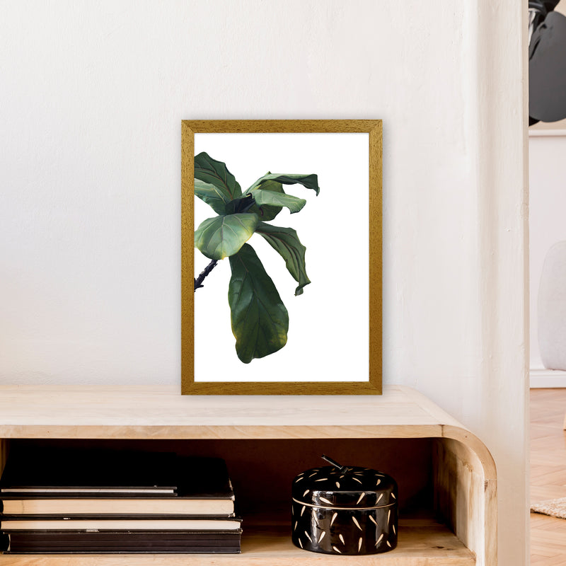 Plant Head Part One  Art Print by Pixy Paper A3 Print Only