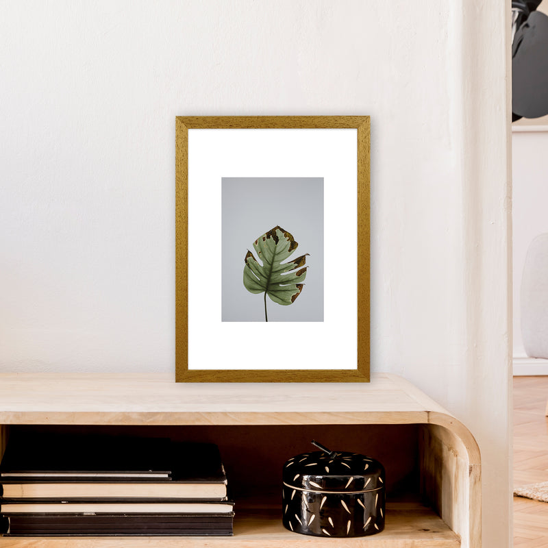 Old Leaf Grey Box  Art Print by Pixy Paper A3 Print Only