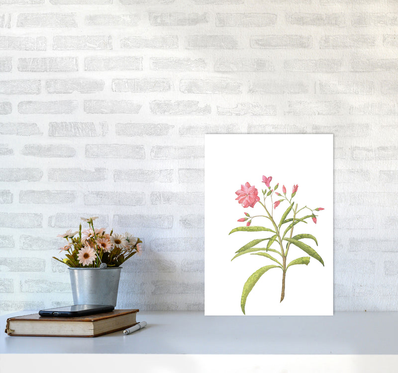 Pink Flower Modern Print, Framed Botanical & Nature Art Print A3 Black Frame