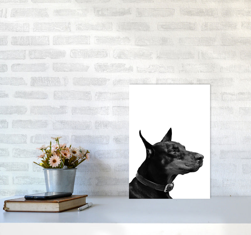 Black And White Dog Modern Print Animal Art Print A3 Black Frame