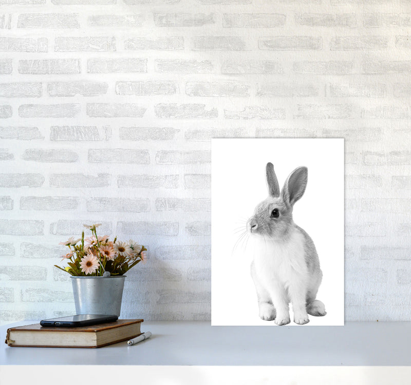 Black And White Bunny Modern Print Animal Art Print A3 Black Frame
