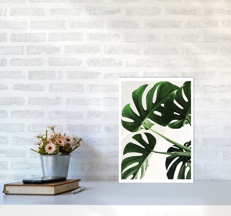 Monstera Leaf Modern Print, Framed Botanical & Nature Art Print A3 Black Frame