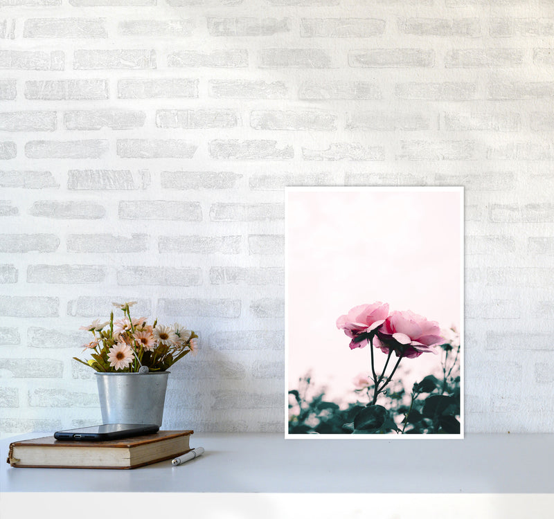 Pink Rose Modern Print, Framed Botanical & Nature Art Print A3 Black Frame