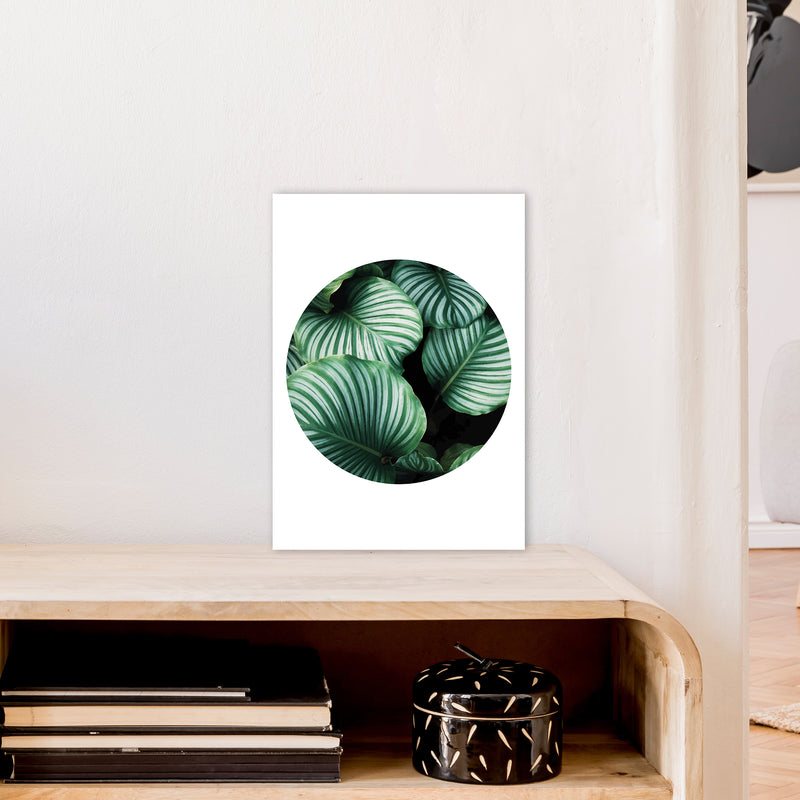 Green Leaf Circle Window  Art Print by Pixy Paper A3 Black Frame