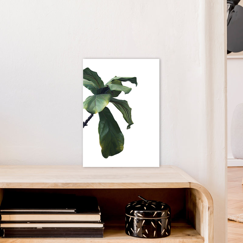 Plant Head Part One  Art Print by Pixy Paper A3 Black Frame