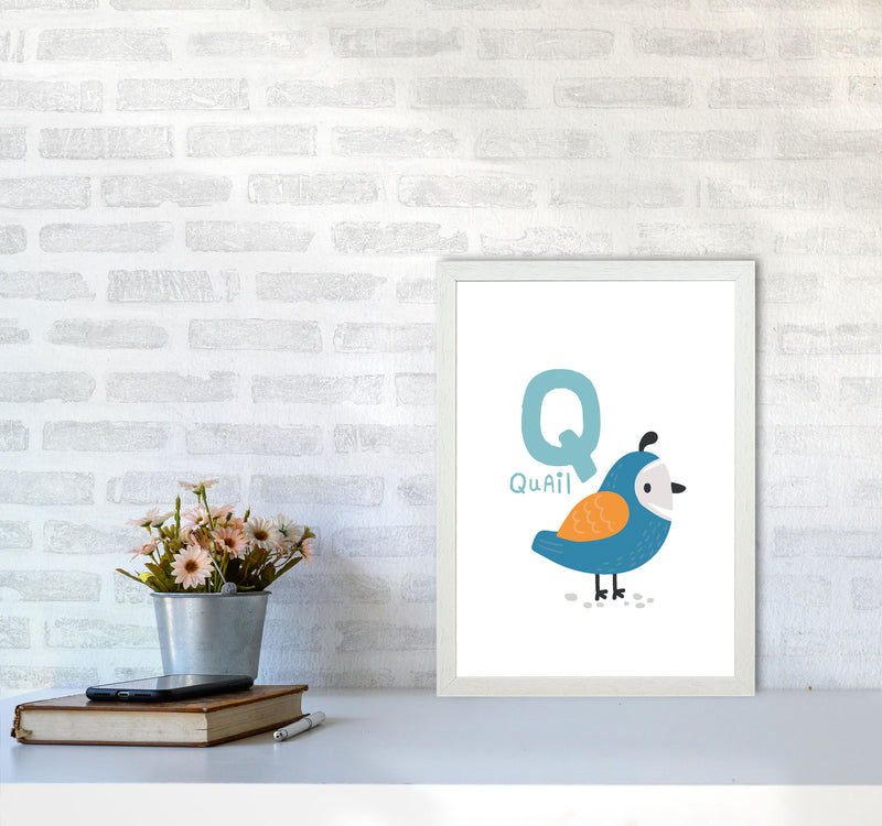 Alphabet Animals, Q Is For Quail Framed Nursey Wall Art Print A3 Oak Frame