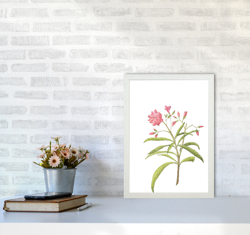 Pink Flower Modern Print, Framed Botanical & Nature Art Print A3 Oak Frame