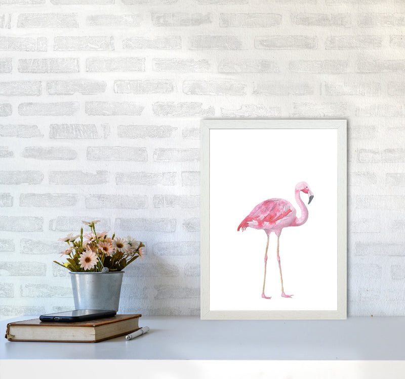 Pink Flamingo Modern Print Animal Art Print A3 Oak Frame