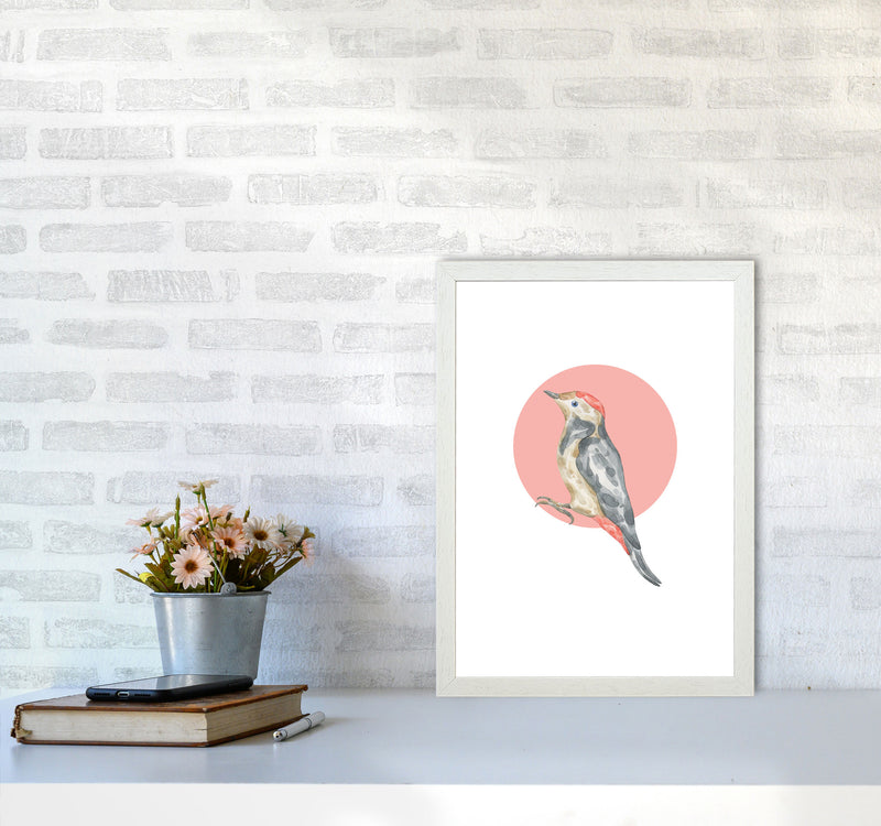 Watercolour Bird With Red Circle Modern Print Animal Art Print A3 Oak Frame