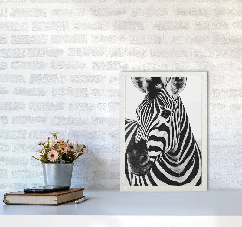 Black And White Zebra Modern Print Animal Art Print A3 Oak Frame