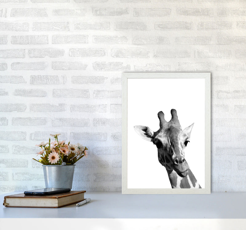 Black And White Giraffe Modern Print Animal Art Print A3 Oak Frame