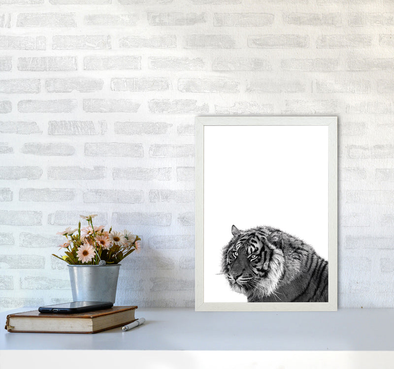 Black And White Tiger Modern Print Animal Art Print A3 Oak Frame
