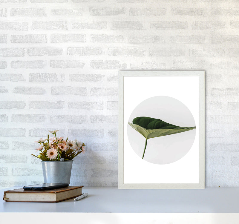 Doc Leaf Modern Print, Framed Botanical & Nature Art Print A3 Oak Frame