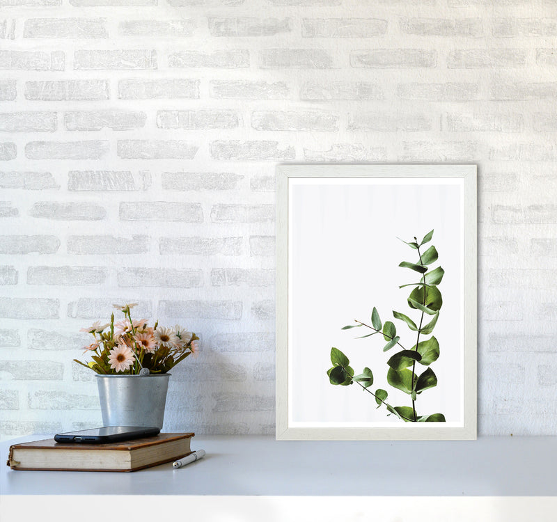 Elegant Green Plant Modern Print, Framed Botanical & Nature Art Print A3 Oak Frame