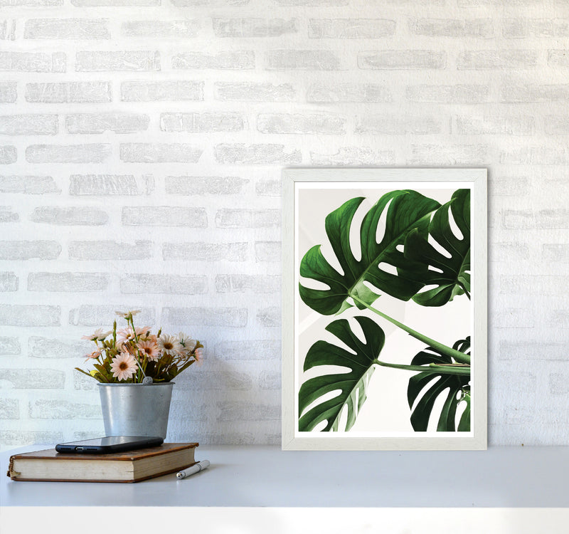 Monstera Leaf Modern Print, Framed Botanical & Nature Art Print A3 Oak Frame