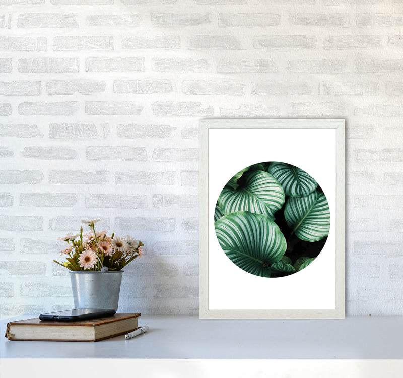 Green Leaves Circle Modern Print, Framed Botanical & Nature Art Print A3 Oak Frame