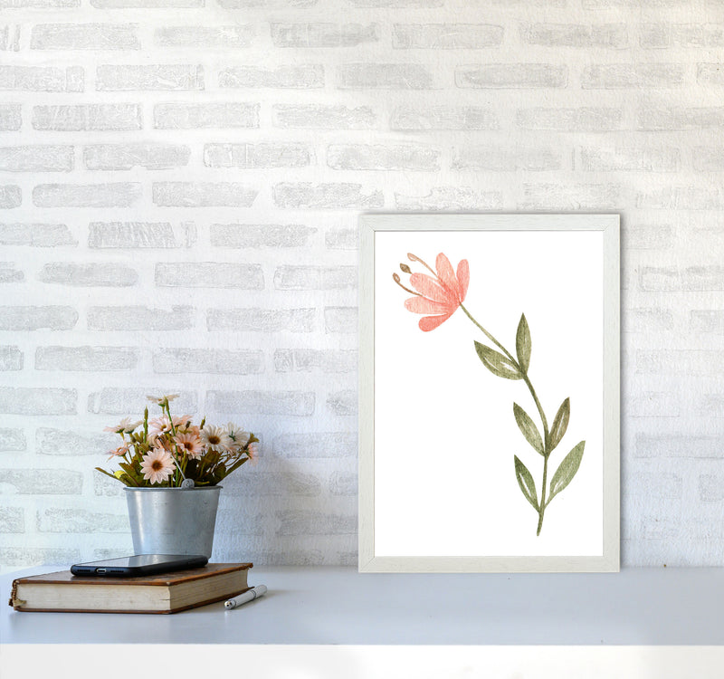 Pink Watercolour Flower 2 Modern Print A3 Oak Frame