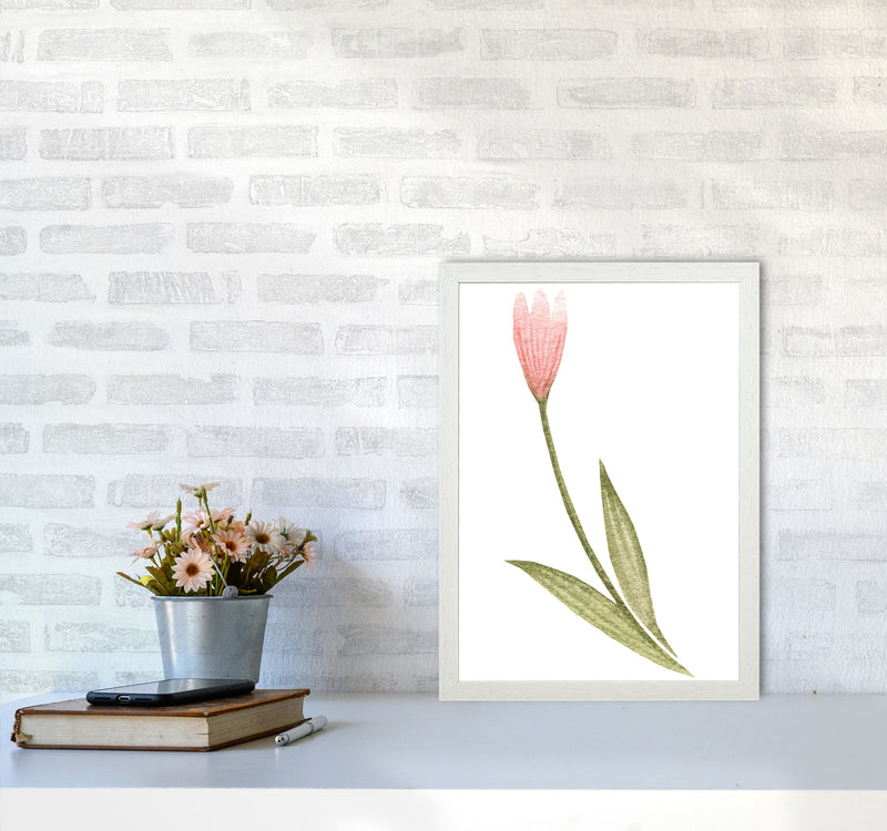 Pink Watercolour Flower 3 Modern Print A3 Oak Frame