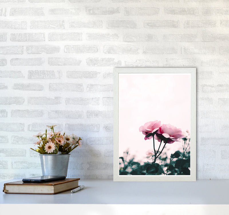 Pink Rose Modern Print, Framed Botanical & Nature Art Print A3 Oak Frame