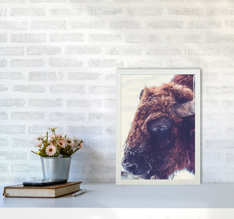 Bull Modern Print Animal Art Print A3 Oak Frame
