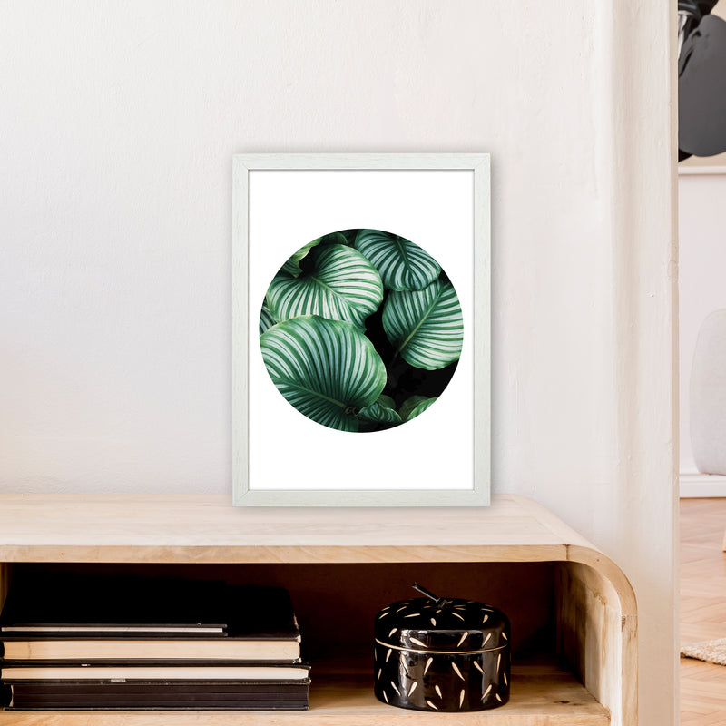 Green Leaf Circle Window  Art Print by Pixy Paper A3 Oak Frame