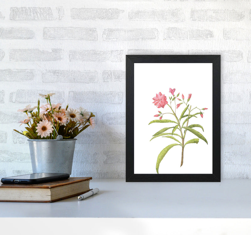 Pink Flower Modern Print, Framed Botanical & Nature Art Print A4 White Frame
