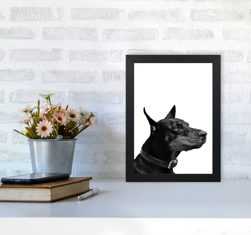 Black And White Dog Modern Print Animal Art Print A4 White Frame