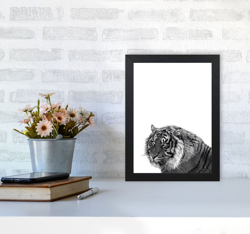 Black And White Tiger Modern Print Animal Art Print A4 White Frame