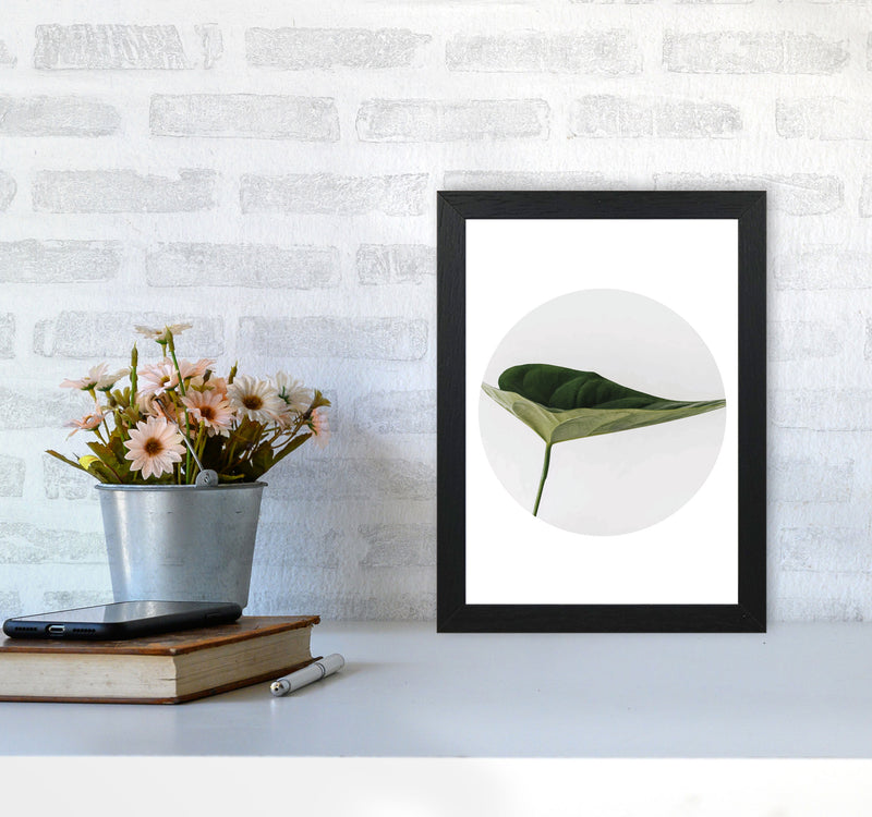 Doc Leaf Modern Print, Framed Botanical & Nature Art Print A4 White Frame