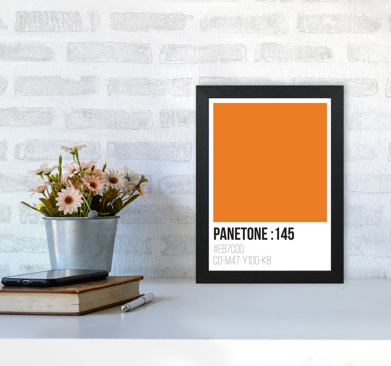 Panetone Colours 145 Modern Print A4 White Frame