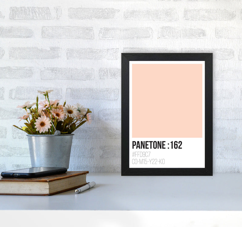 Panetone Colours 162 Modern Print A4 White Frame