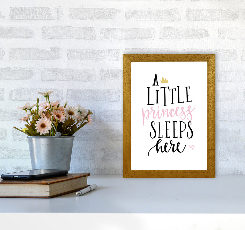 A Little Princess Sleeps Here Framed Nursey Wall Art Print A4 Print Only