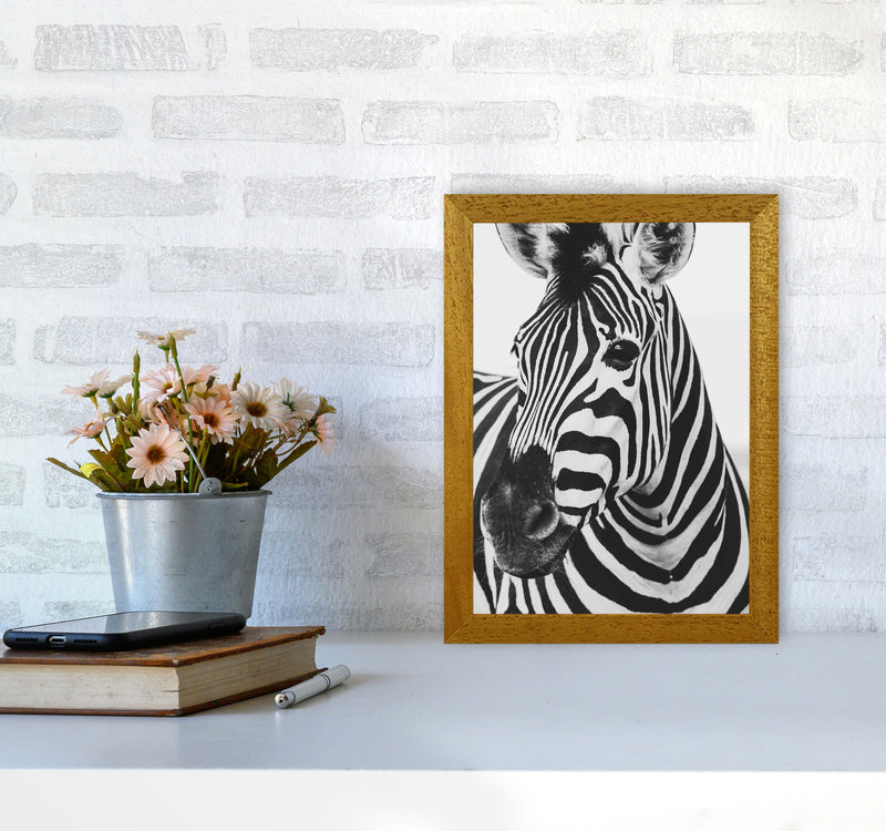 Black And White Zebra Modern Print Animal Art Print A4 Print Only