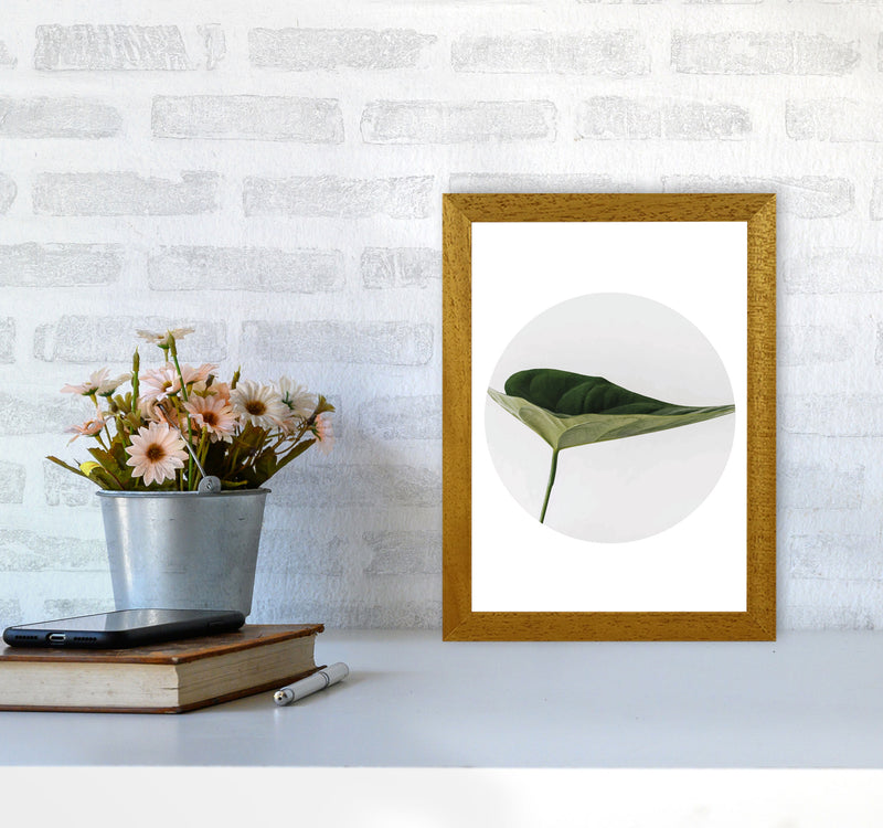 Doc Leaf Modern Print, Framed Botanical & Nature Art Print A4 Print Only